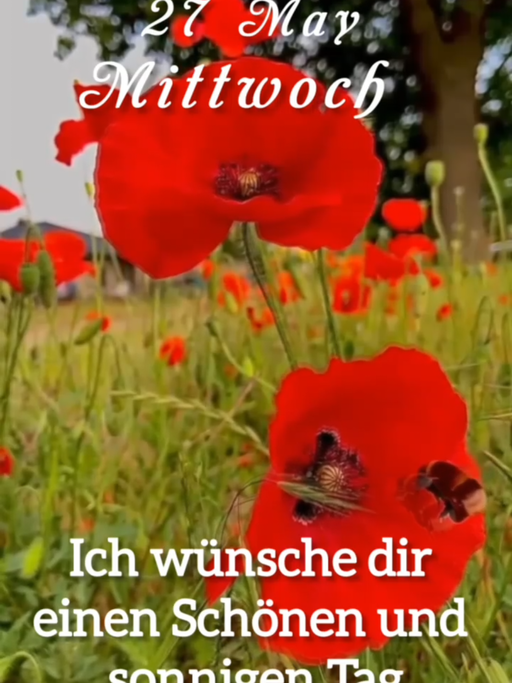 @Ирина goodmorning