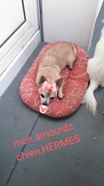 @❤️ MARTINE ET BRUNO ❤️AMOUR ❤️