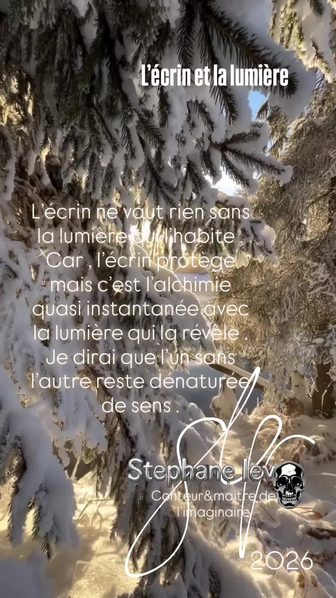 @stephanelevinternational