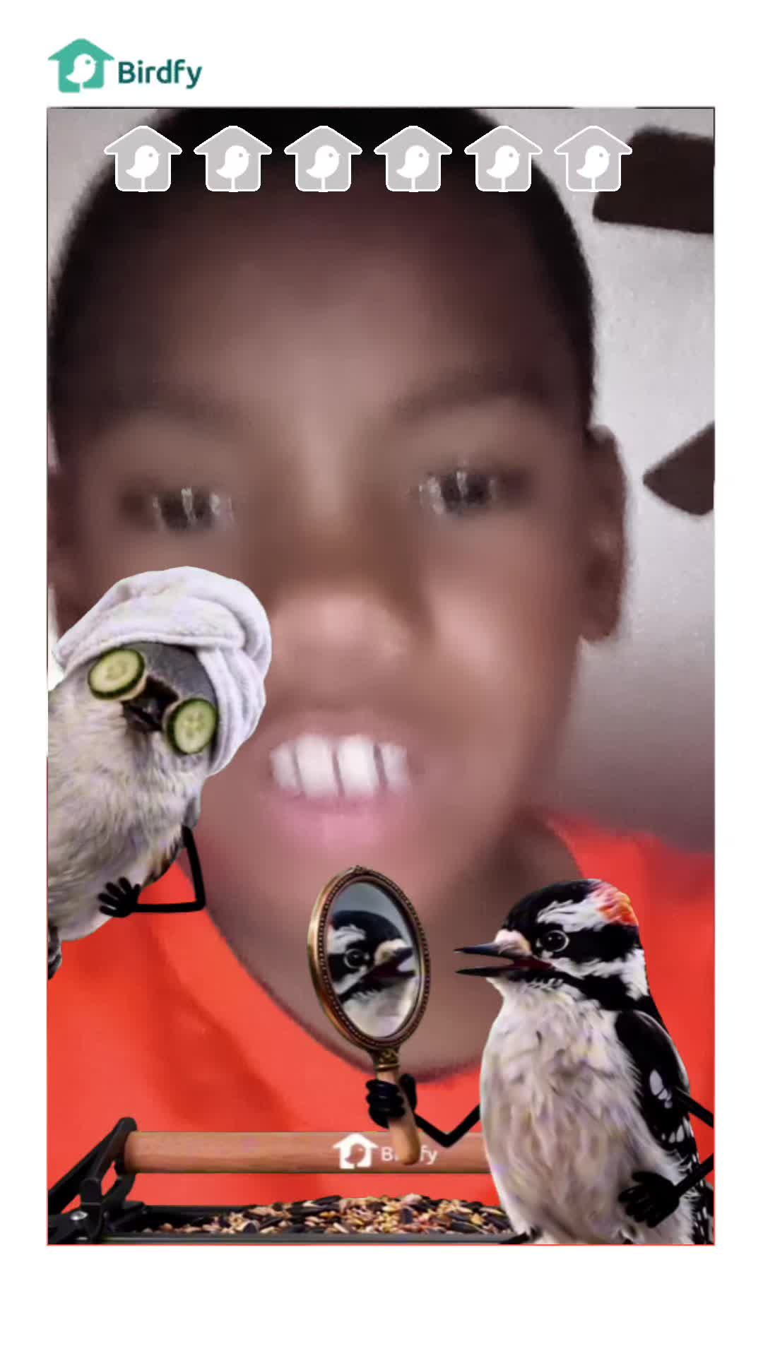 @ejidk