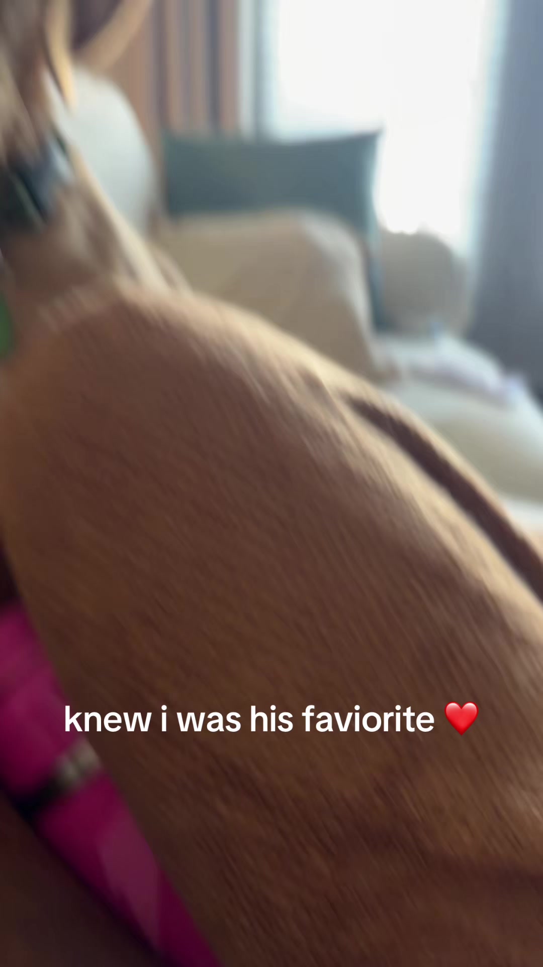 @morganhillock