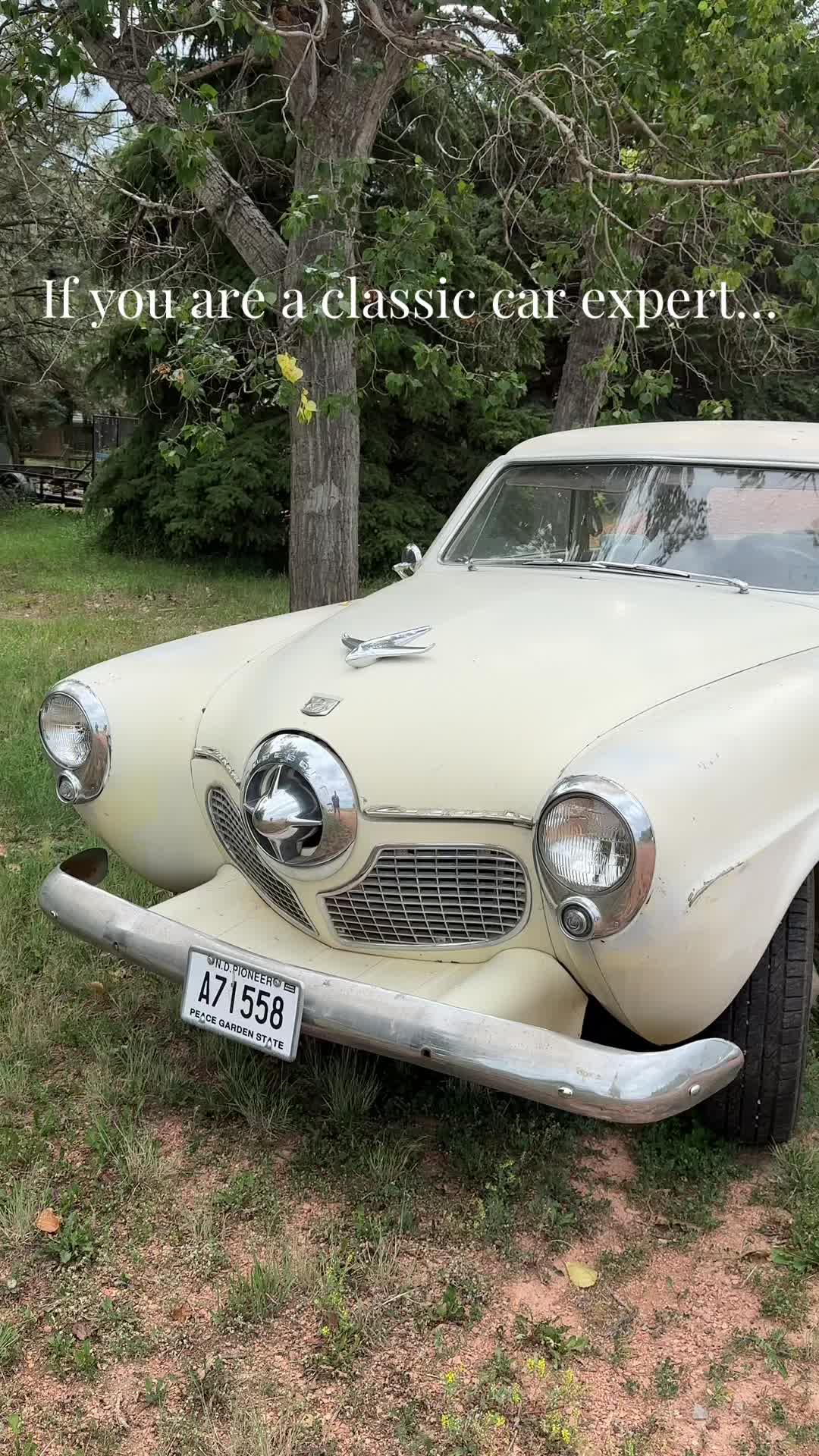 @CLASSIC CAR GIRLIE