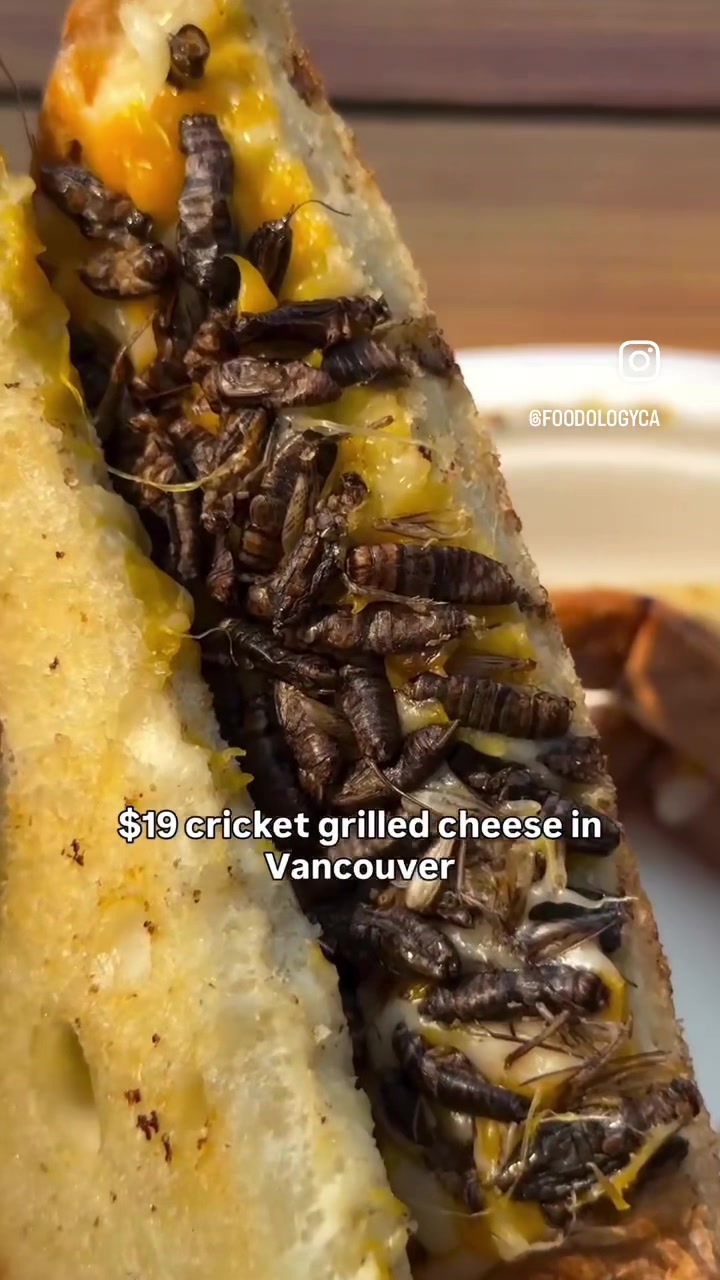 @crazyfoodreview3