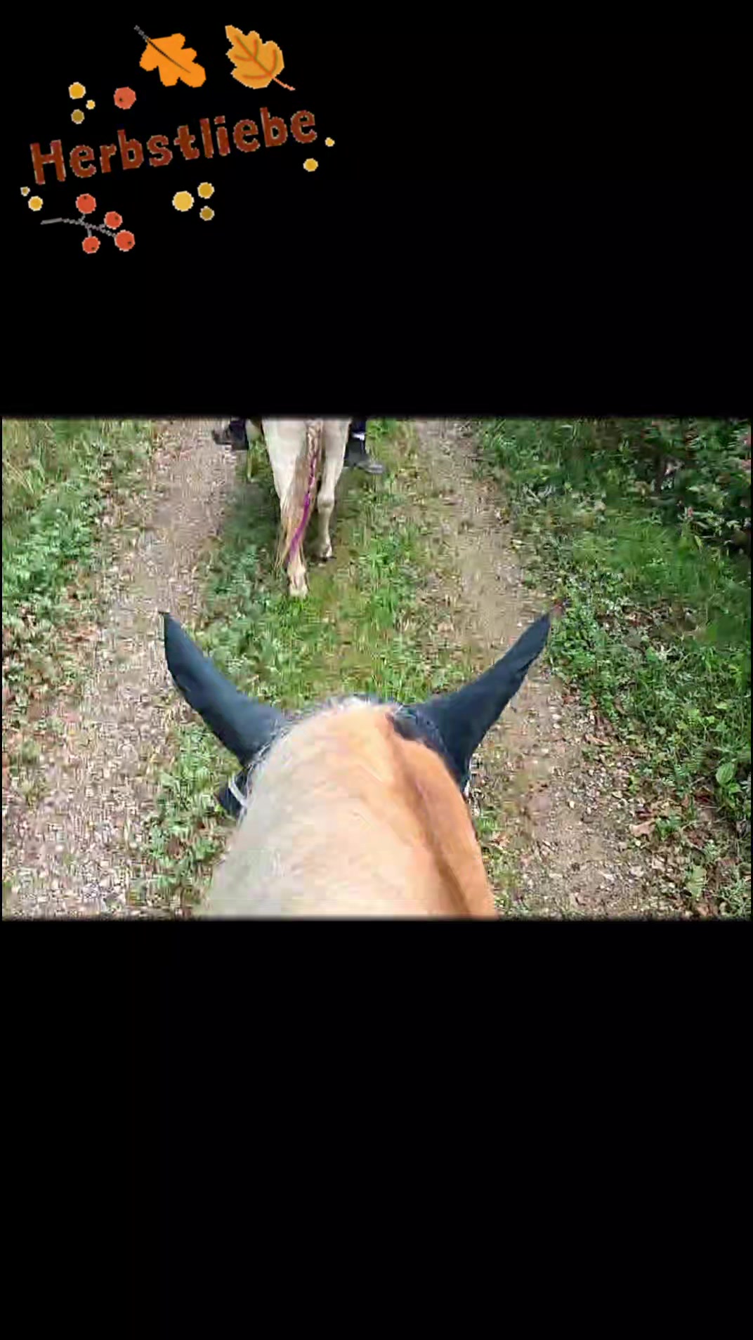 @Ponykids Freitagsgrund