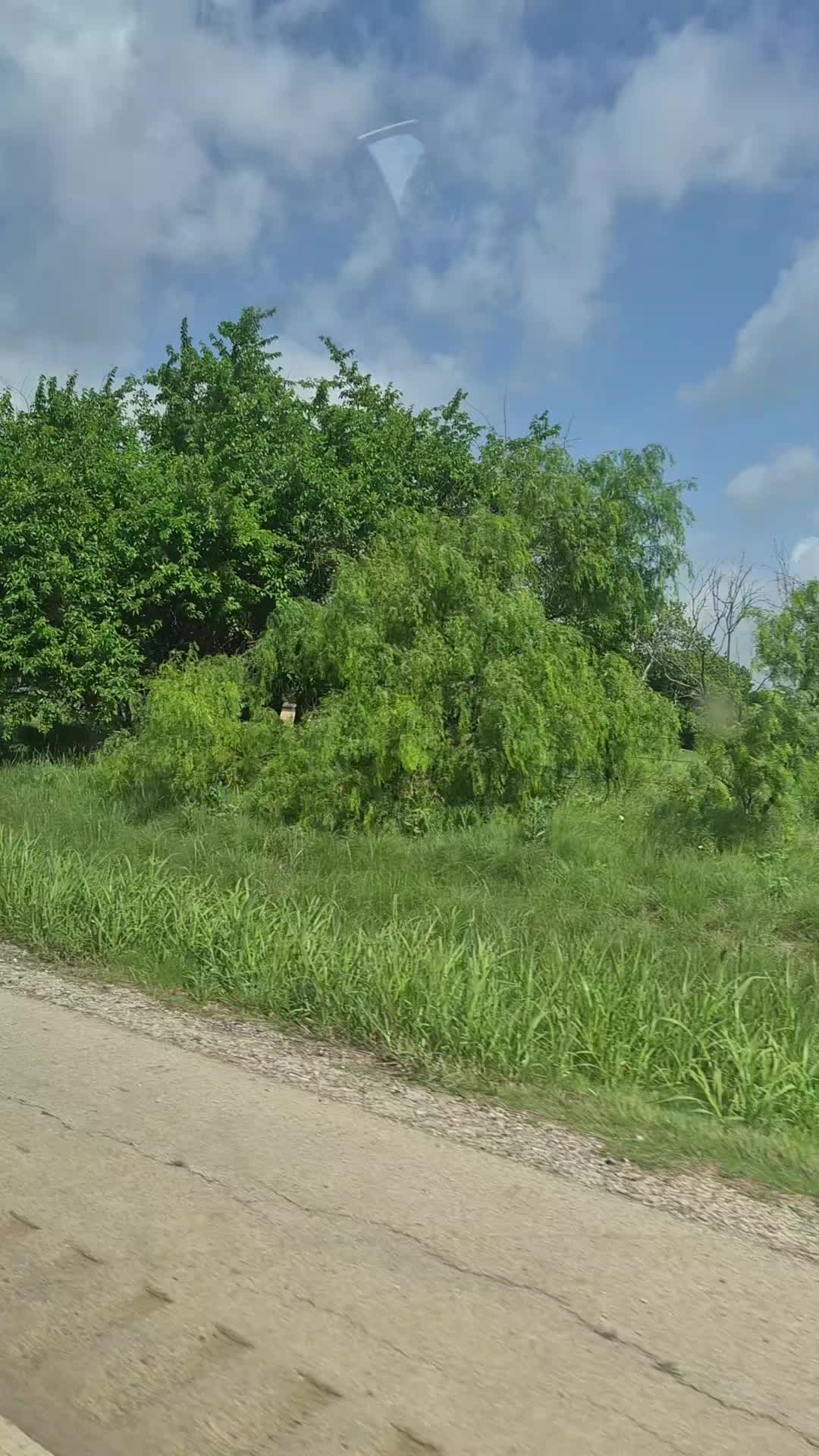 @Alegria