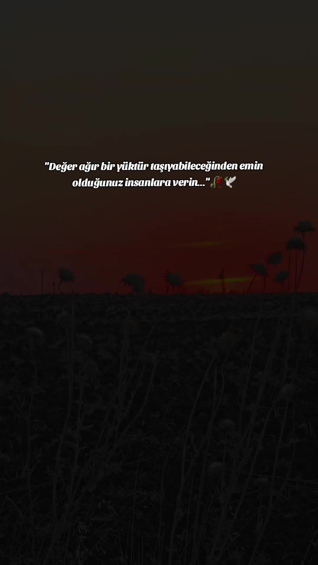 @𝐒 𝐓 𝐄 𝐑 𝐊 ✷