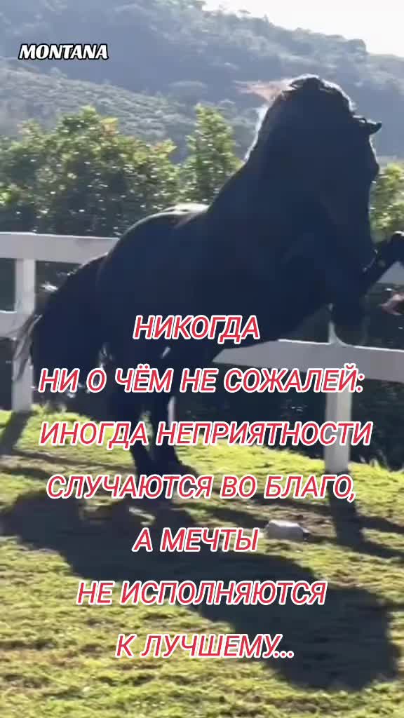 @🍀🌺🍀
