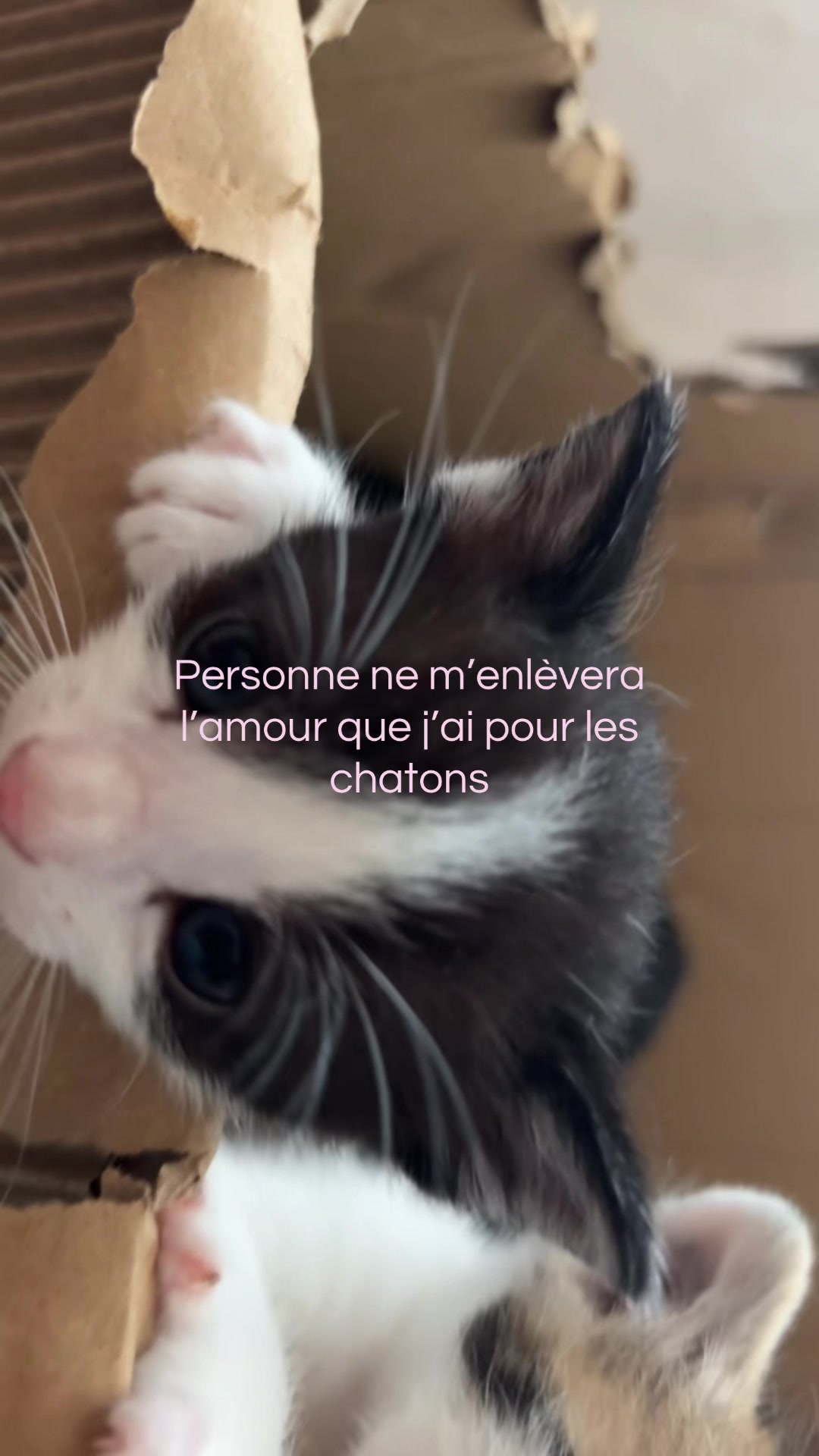 @𝓐𝓶𝓮𝓵𝓲𝓪