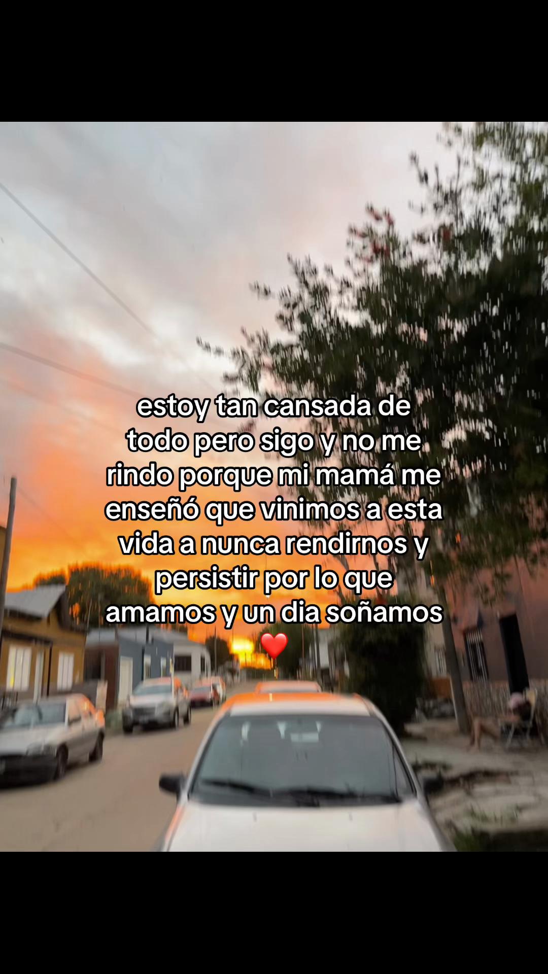 @beree_aa1