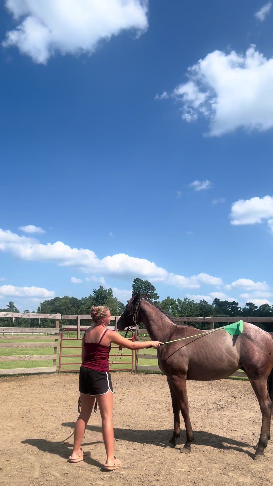 @Peppermint Pines Farm