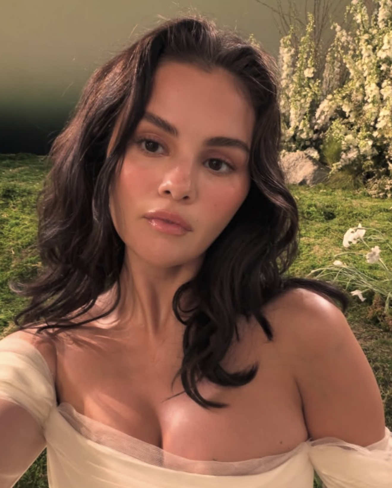 @🦋