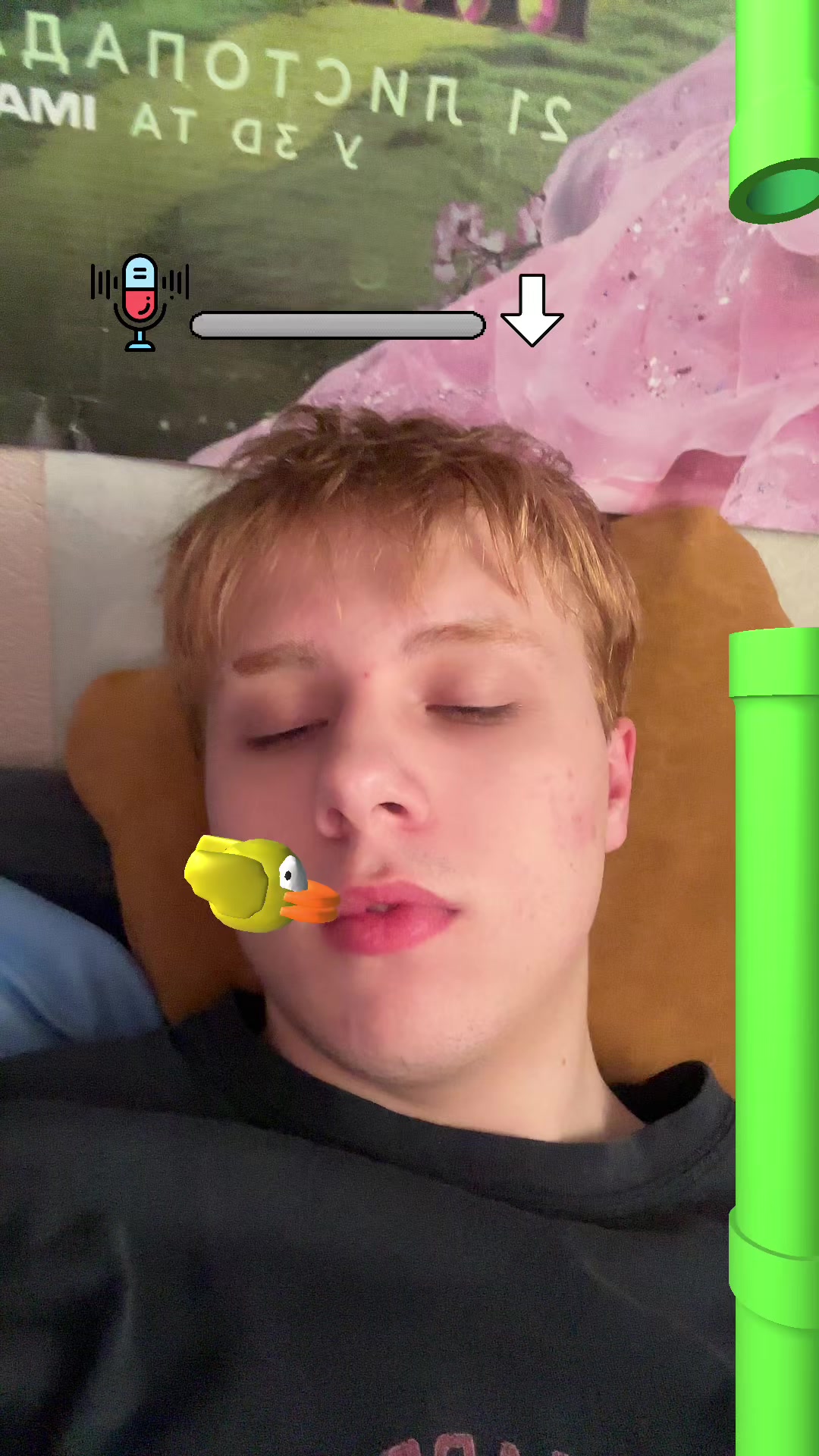 @ведмідь