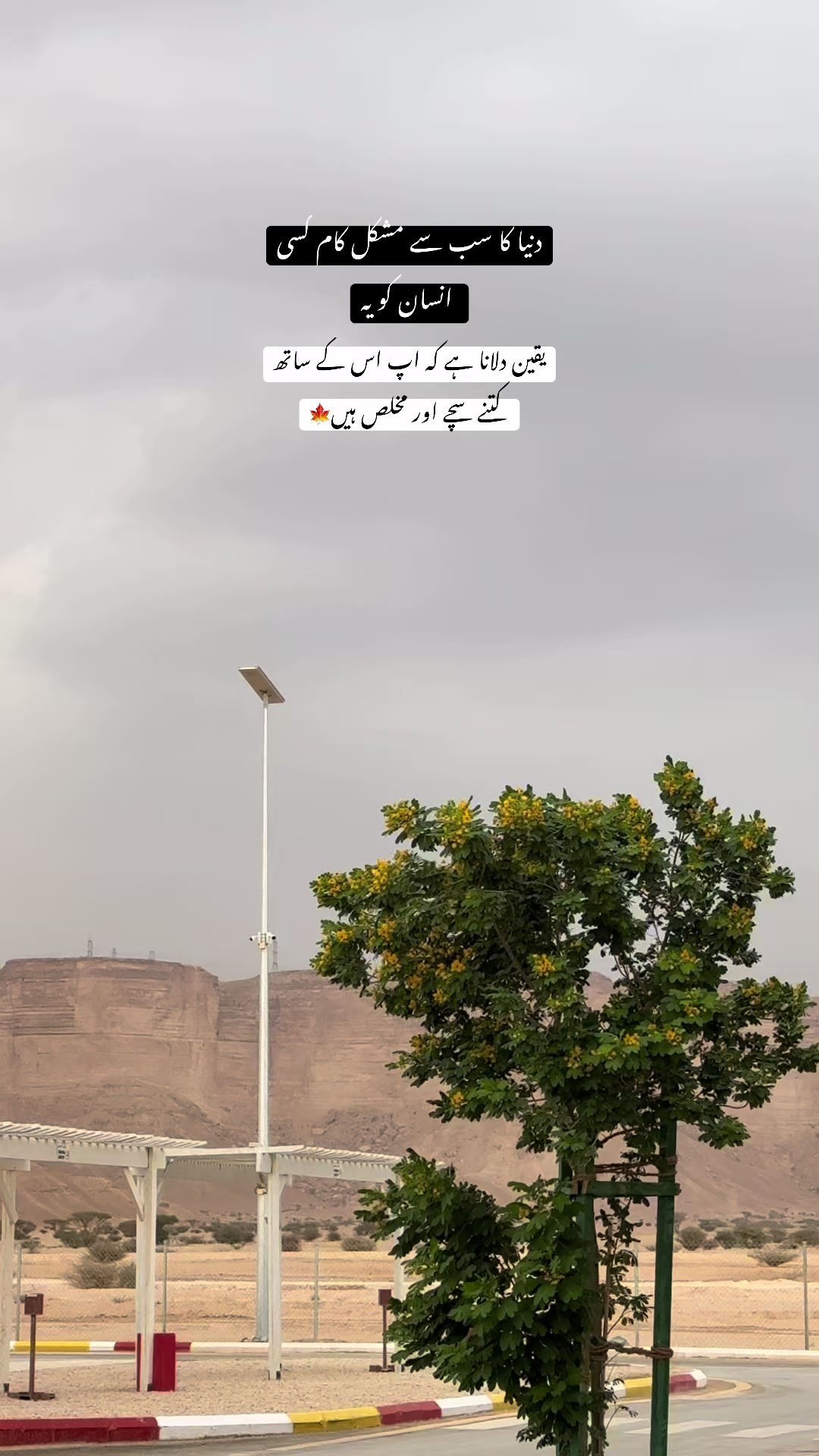 @Itz hashmii