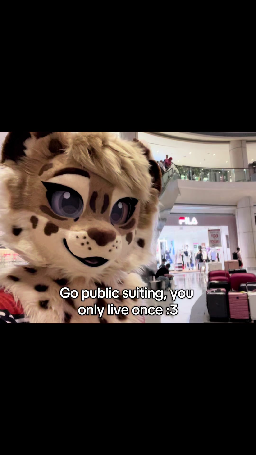 @Amyquel