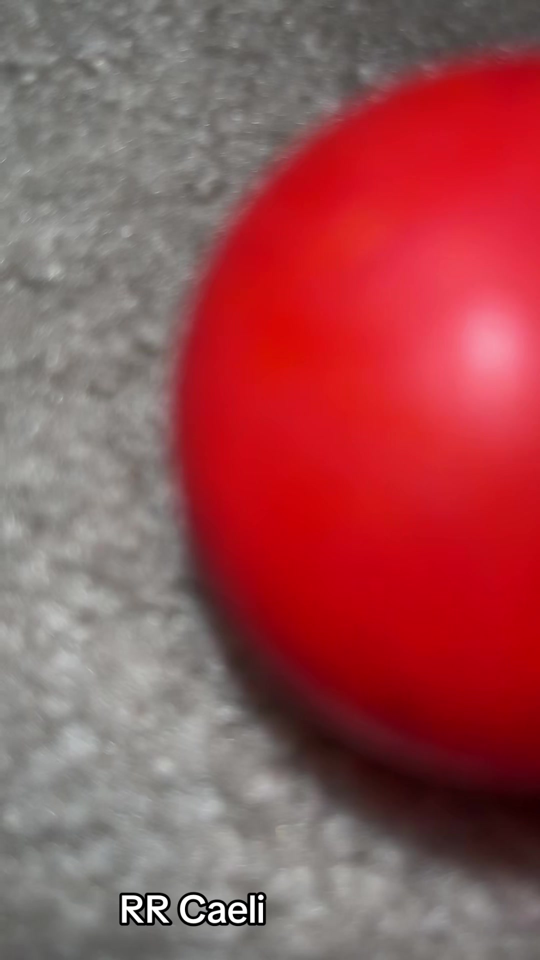 @ybgkingvampify2