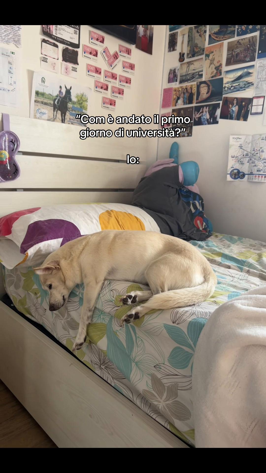 @Emi