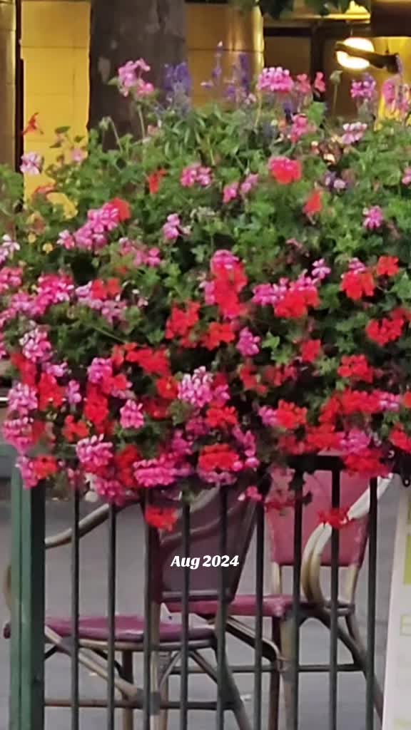 @Italymasud