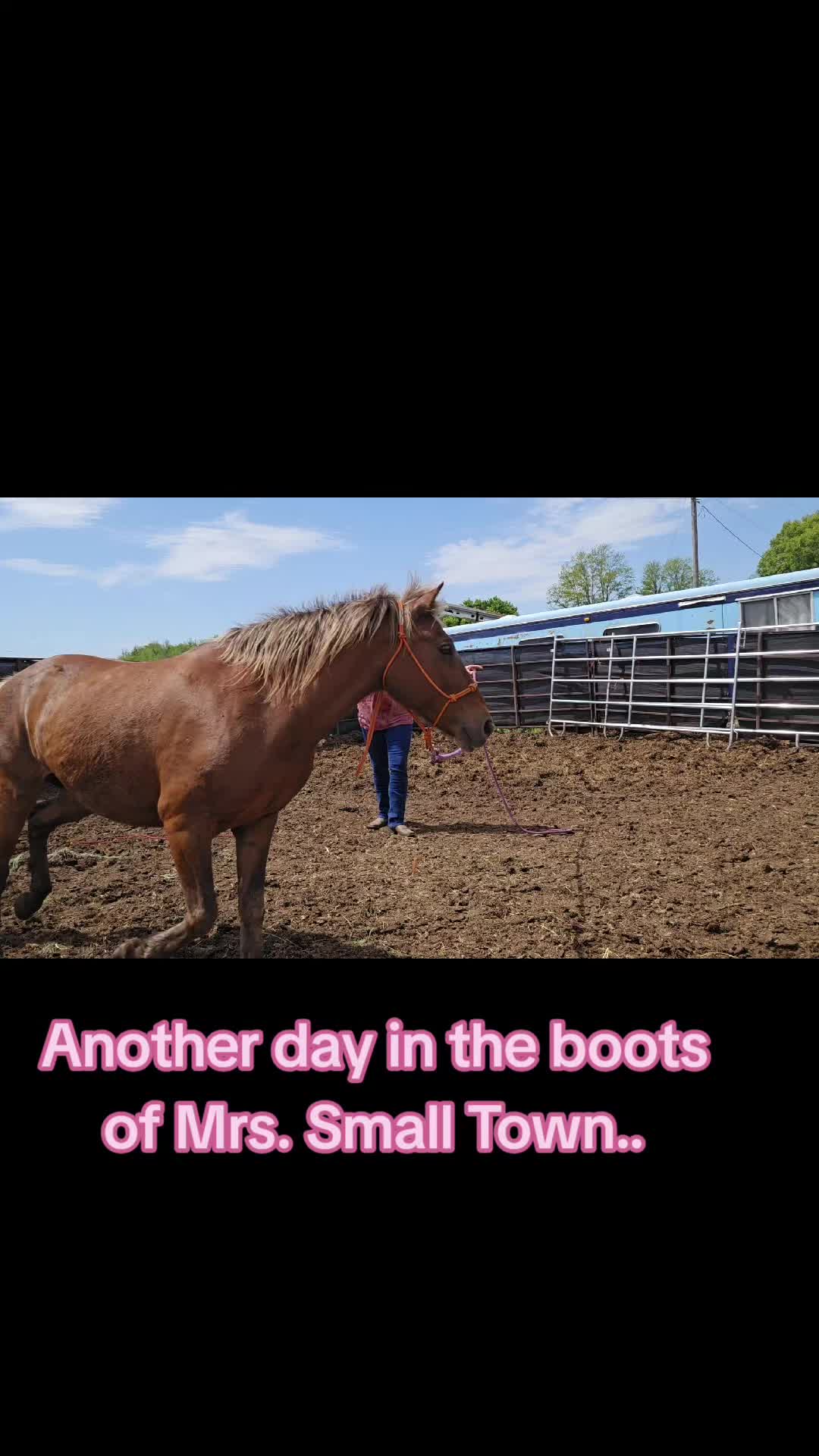 @Small Town Farm LLC