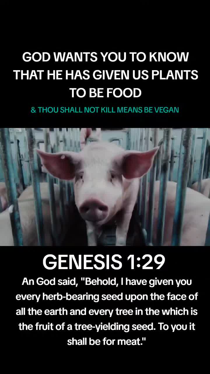 @veganssave