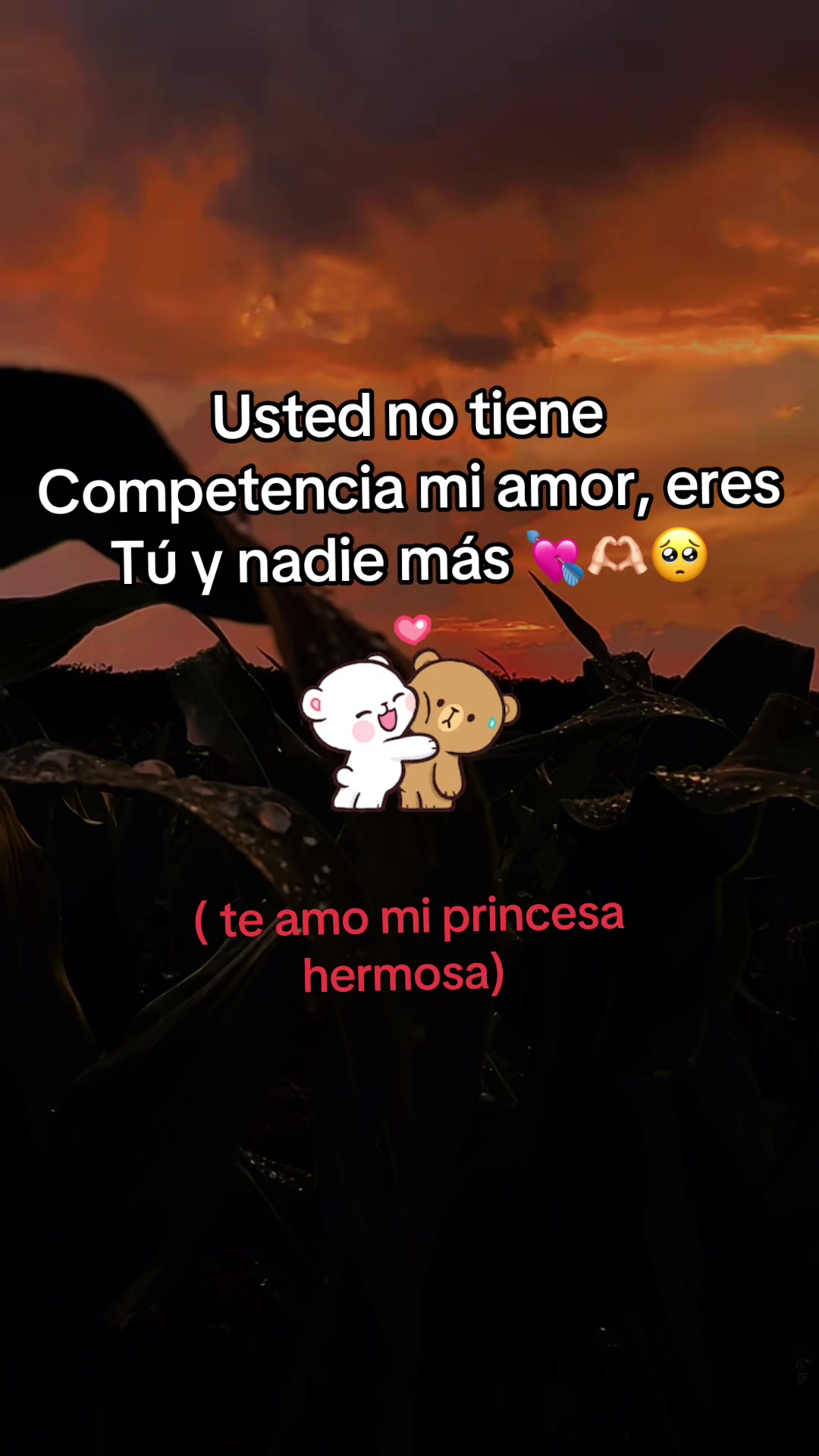 @🧃☘️Ale_🥷💗❤️🇬🇹_