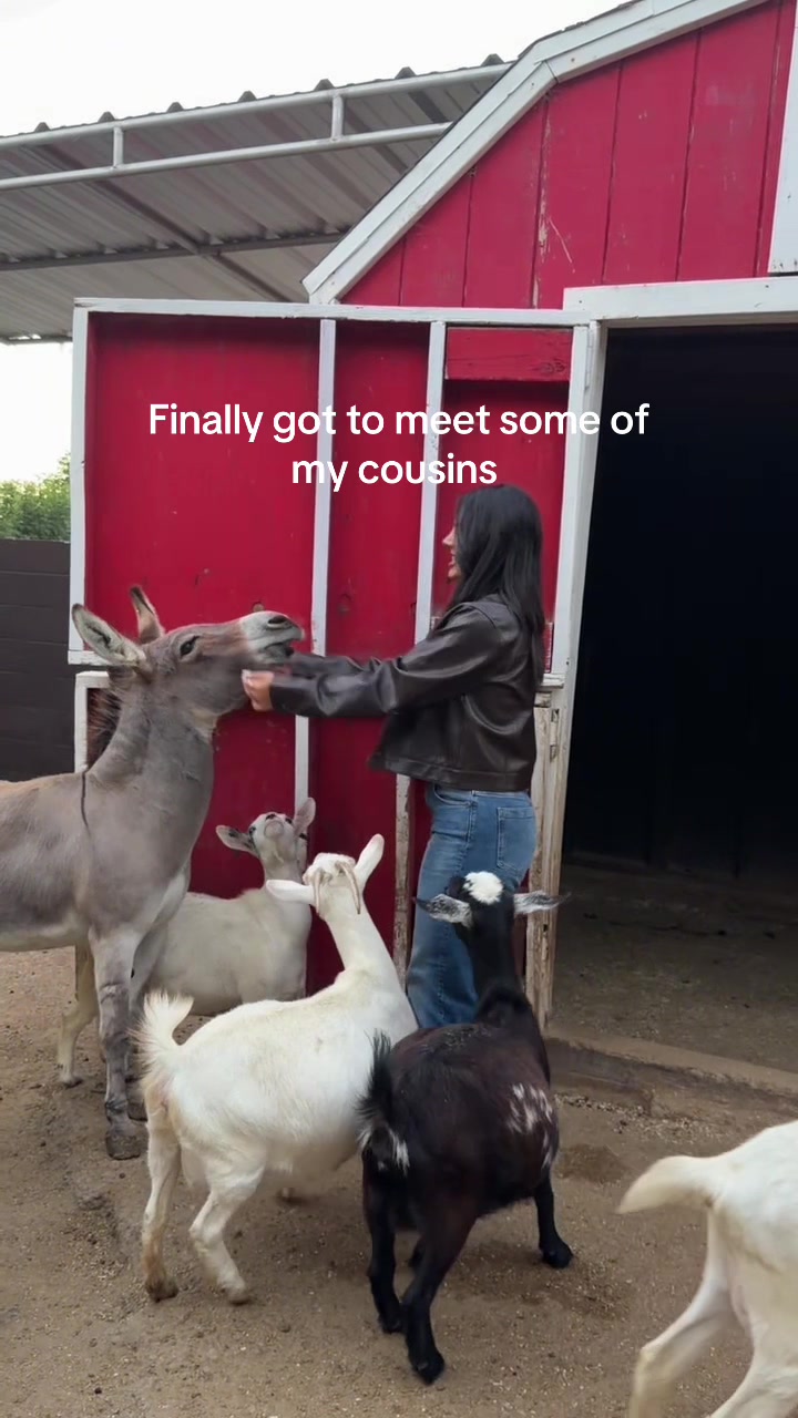 @jess arakelyan