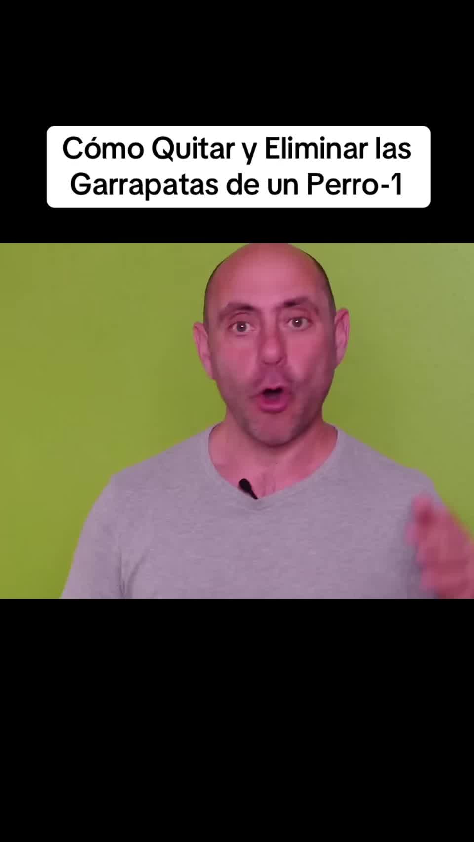 @DangCayToptop Beta