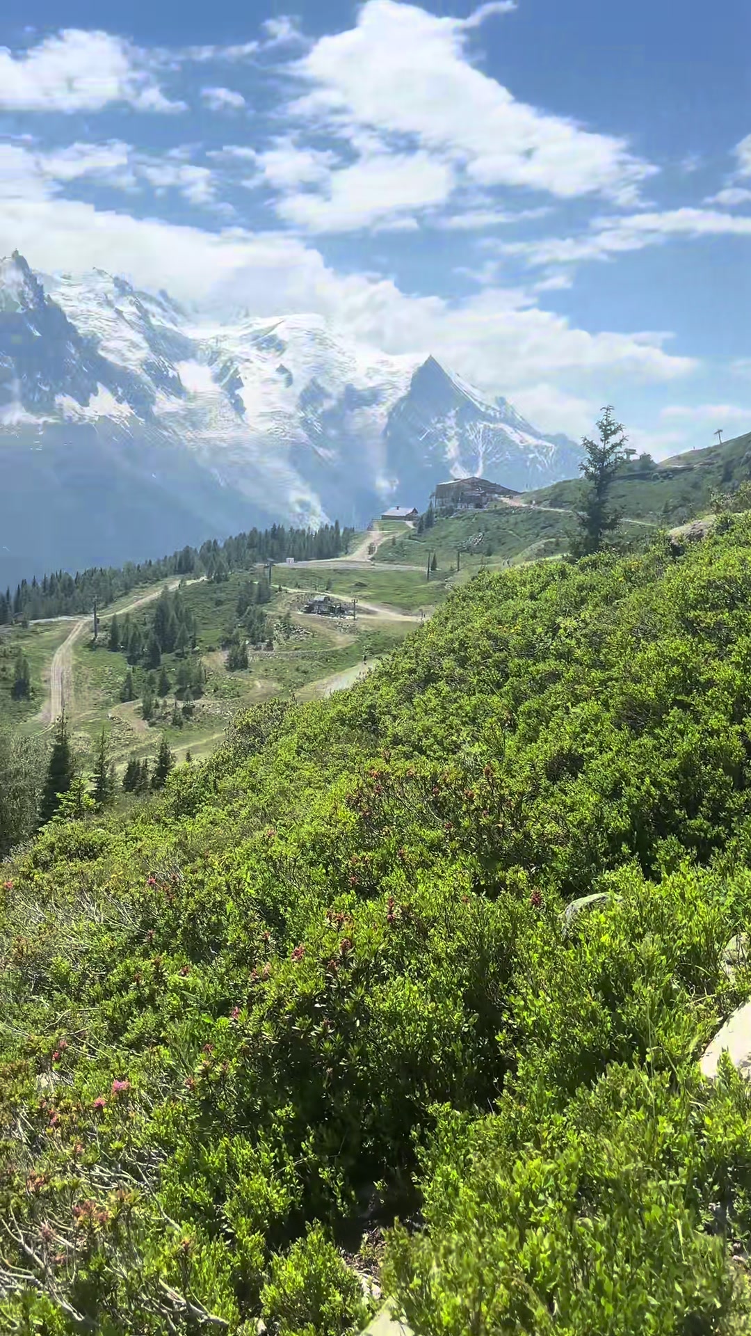 @Fiakosaure 🗻📹