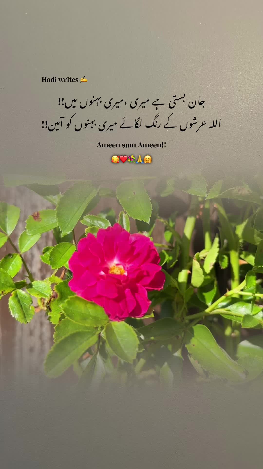 @Bhai Behen Quotes ✍️🥰🙏