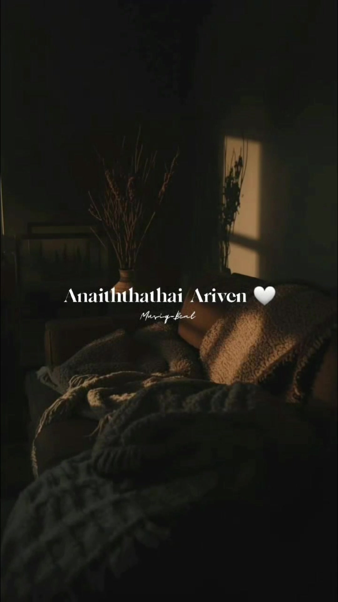@𝗠𝗨𝗦𝗜𝗤_𝗕𝗘𝗔𝗧🖤࿐