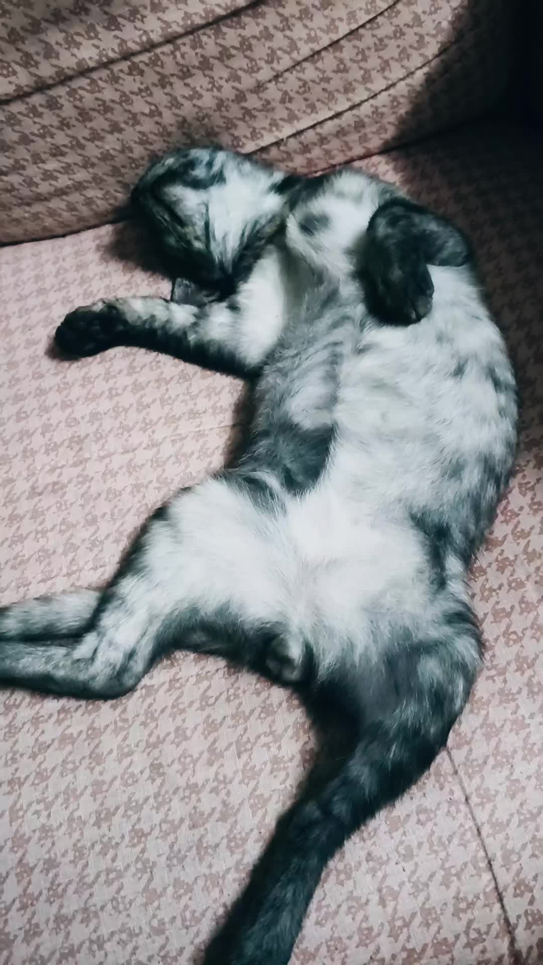 @Juwitaku02