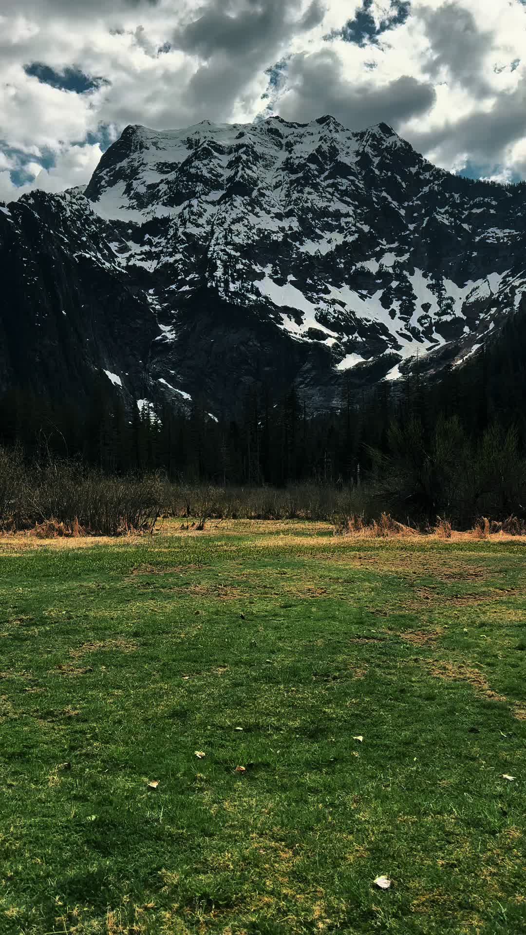@🌲 James | WA 🏔️