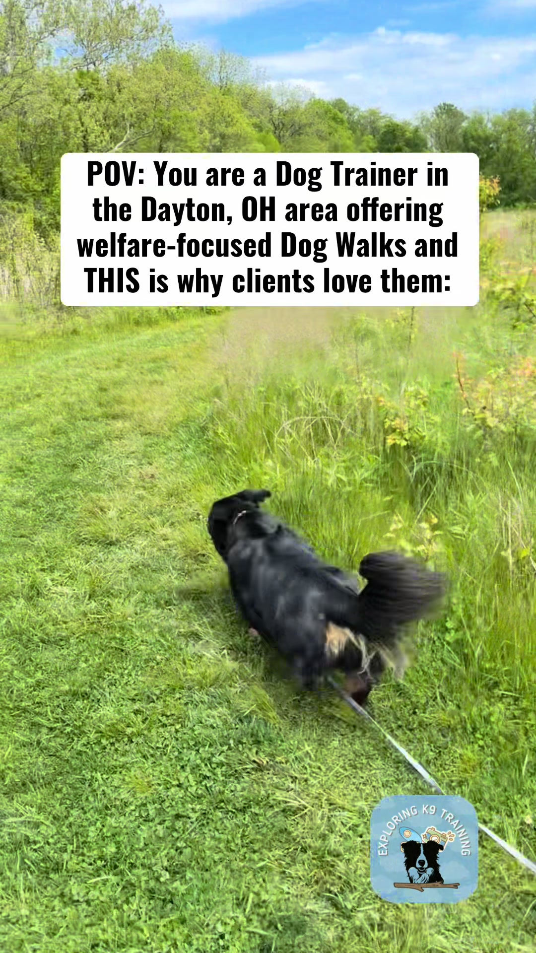 @Exploring K9 Training