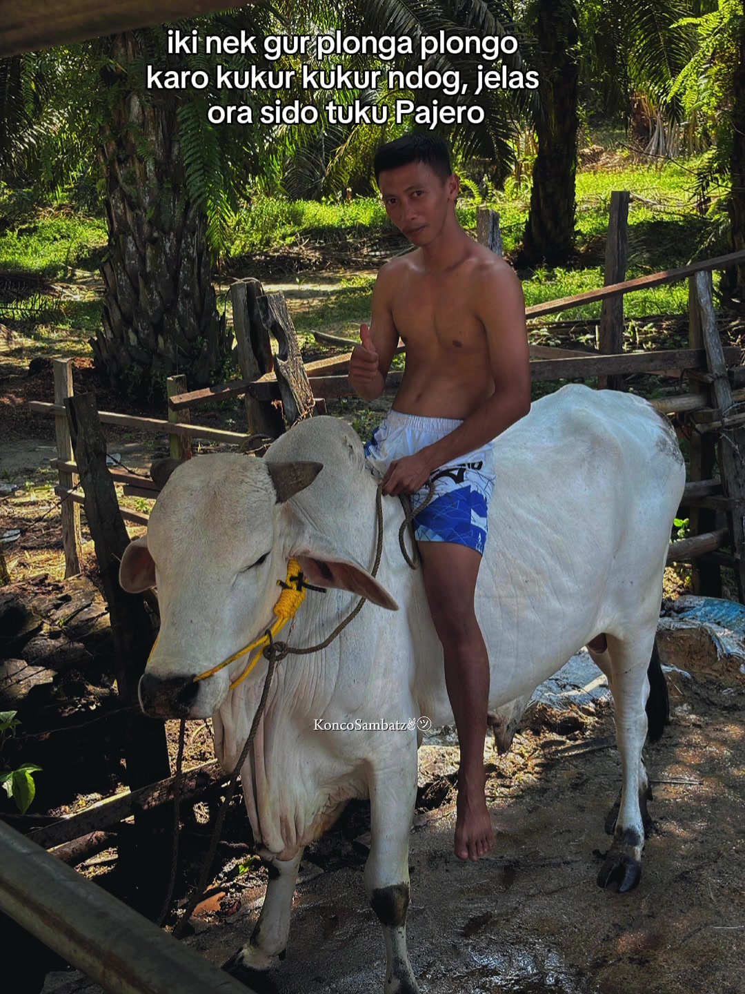 @Adzi BRAHMAN GROUP 447