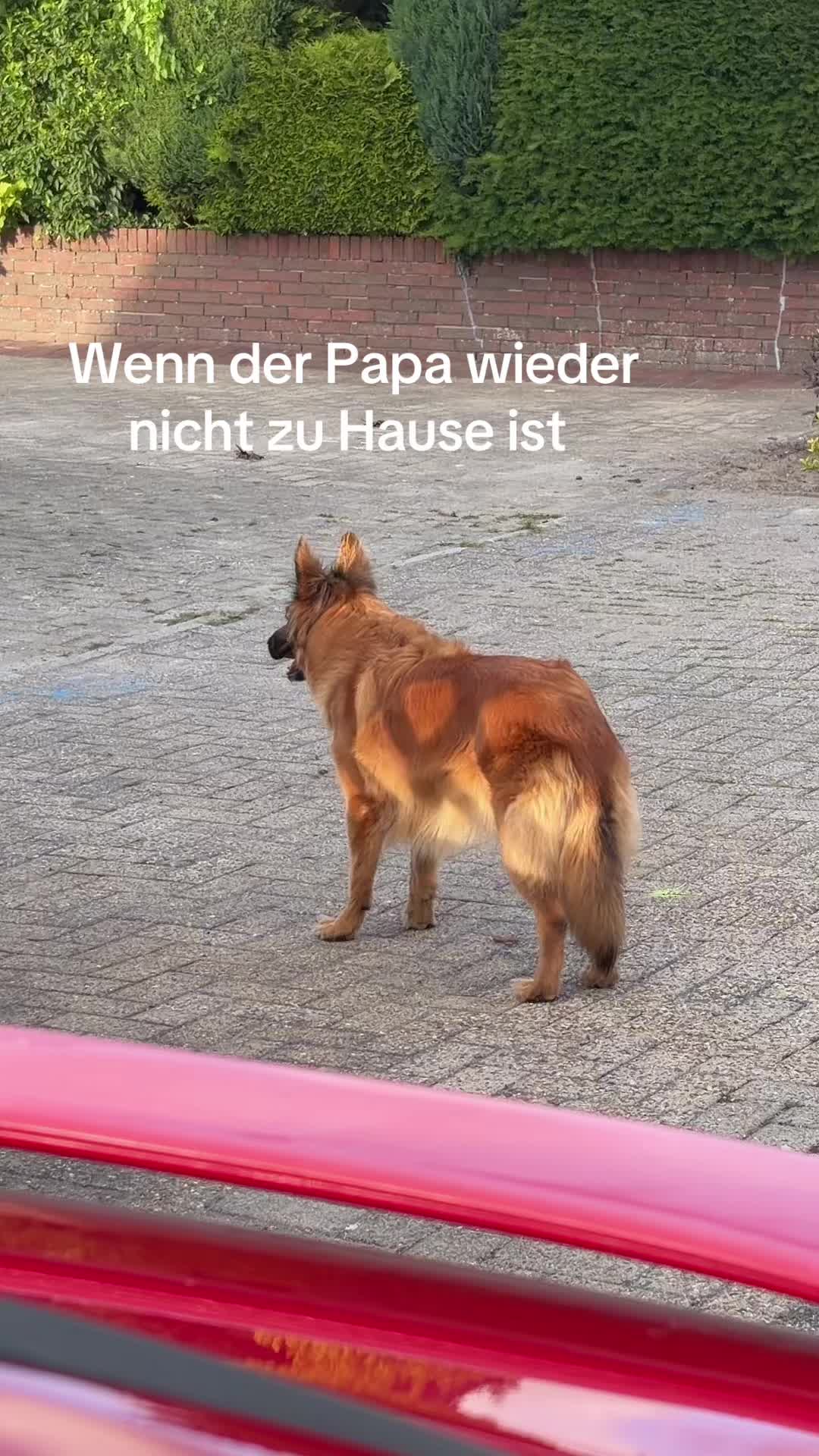 @Caro_La