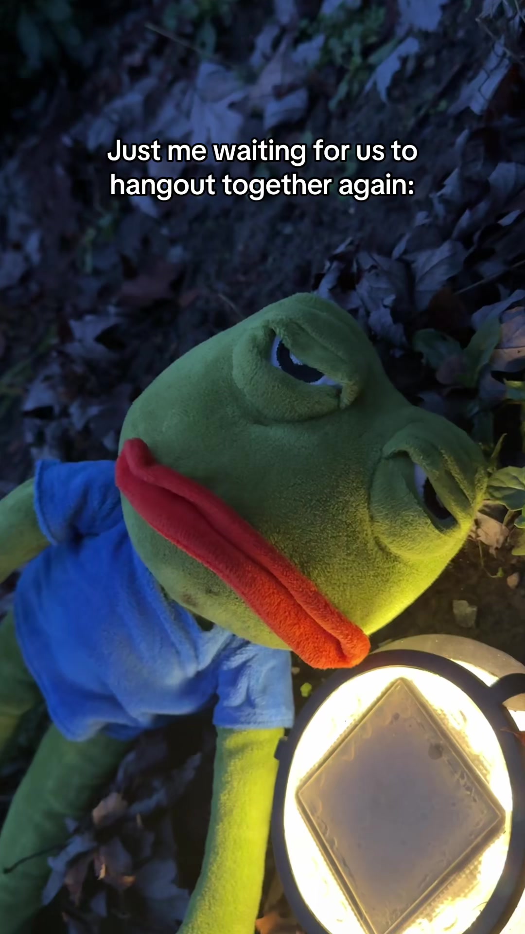 @Sad Frog Pepe 🐸