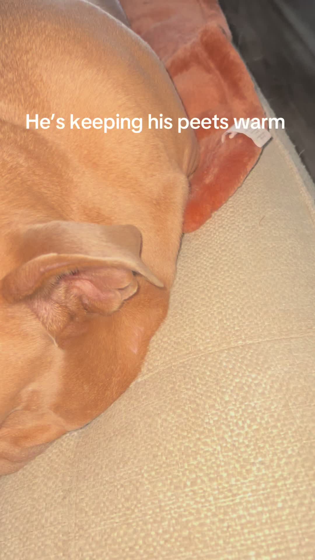@BlockHeadCutie