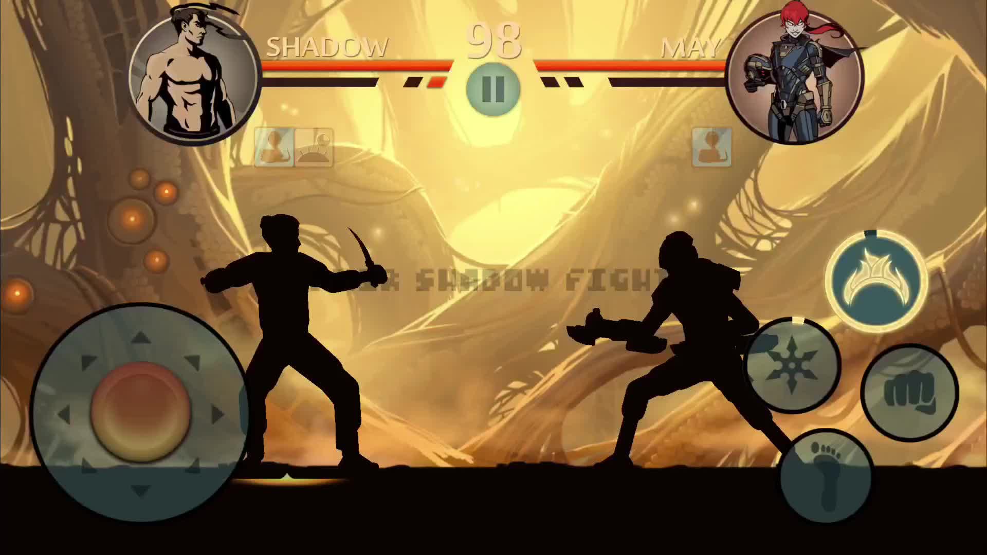 @Amir Shadow Fight