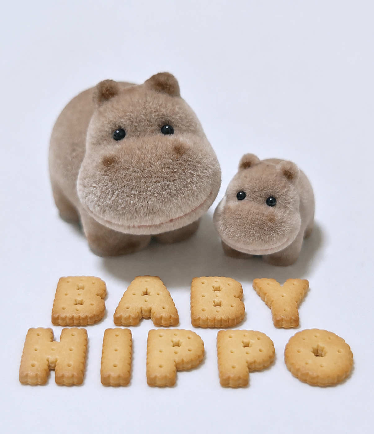 @Baby Hippo