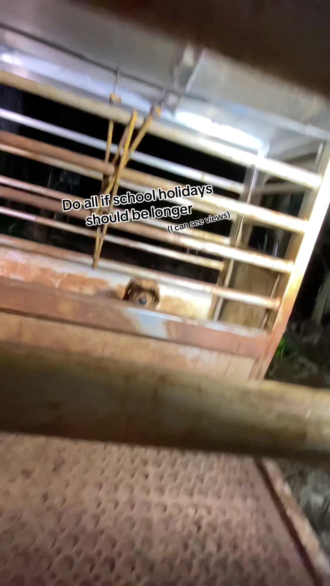 @𝙼𝚊𝚌𝚎🇦🇺
