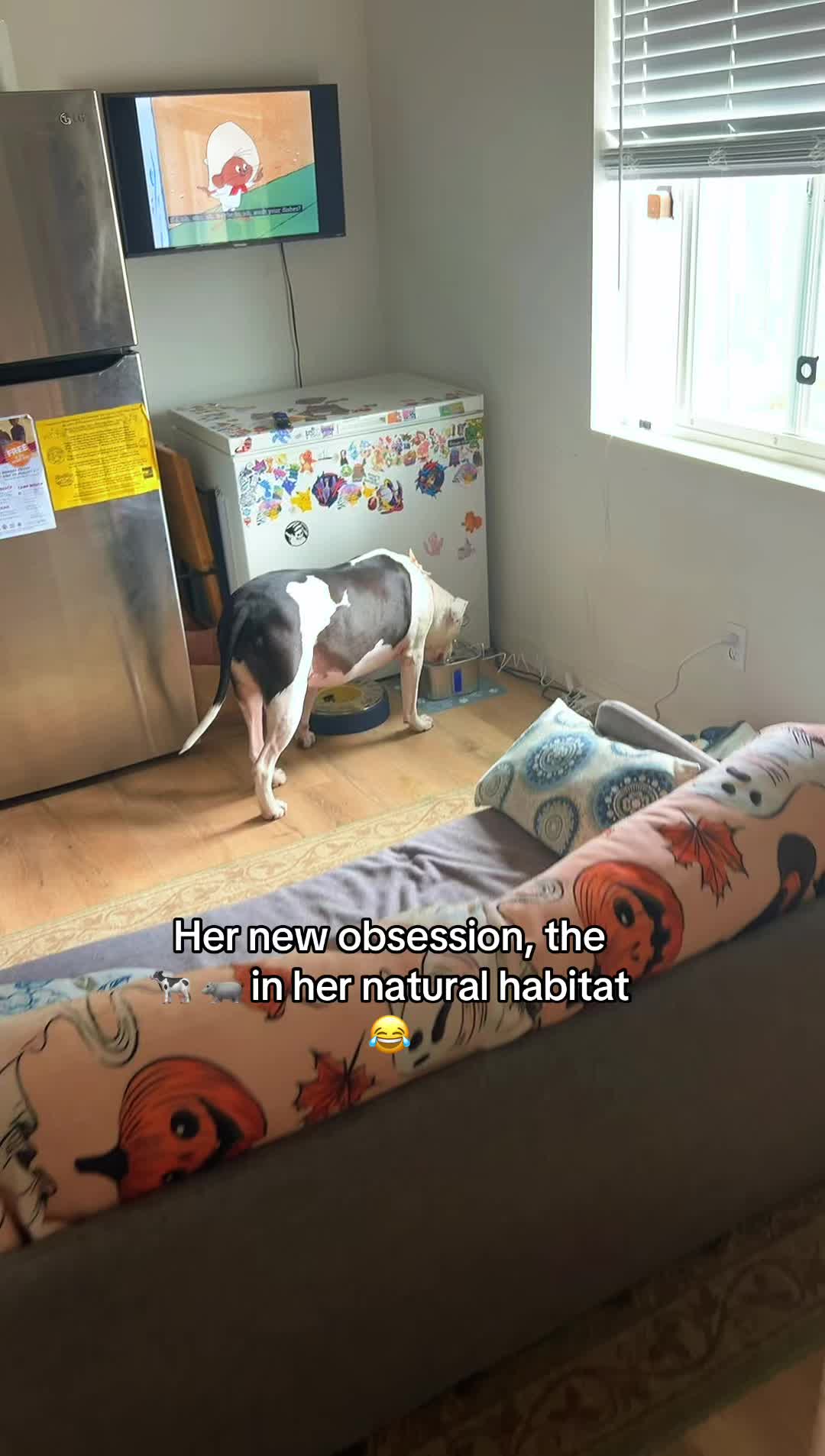 @Blaiden