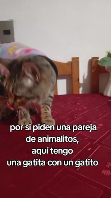 @Jacqueline Albornoz