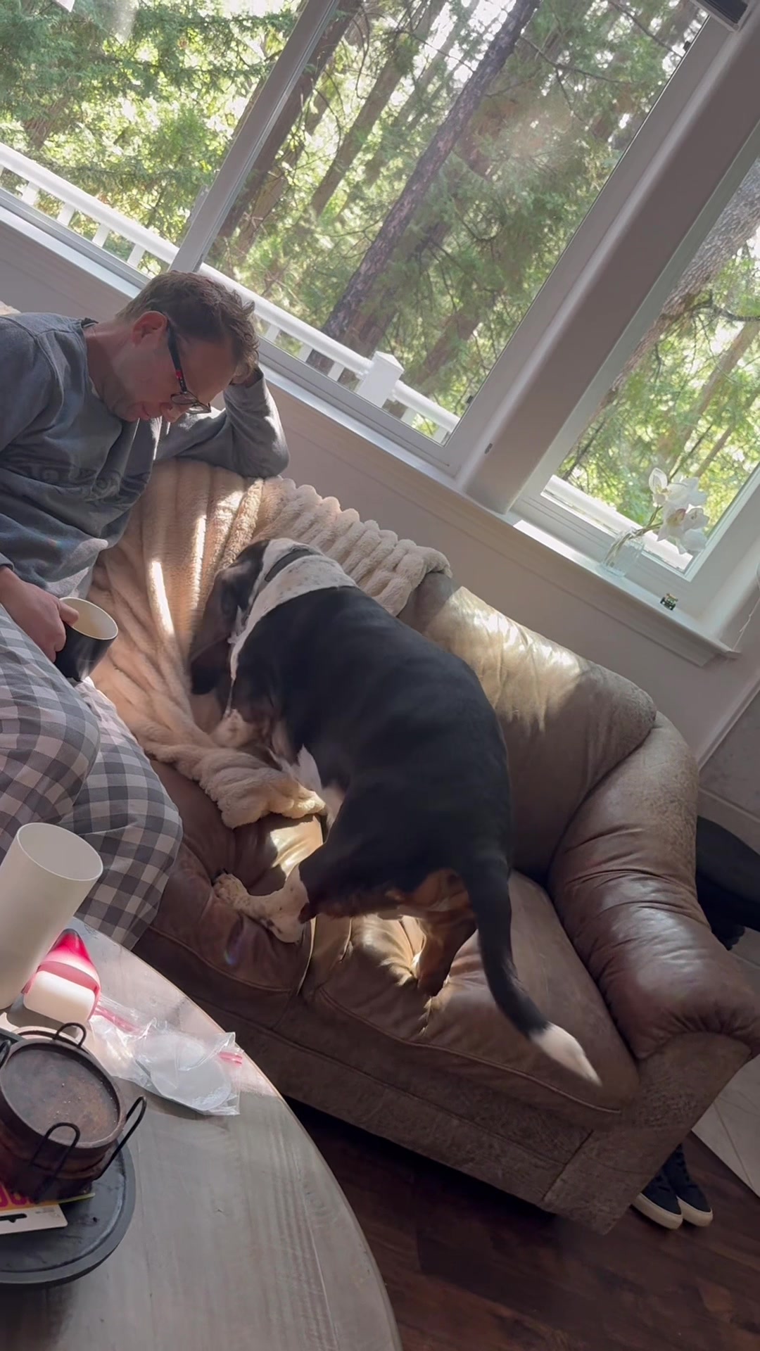 @Hudson & Rudy 🐾 Basset bros