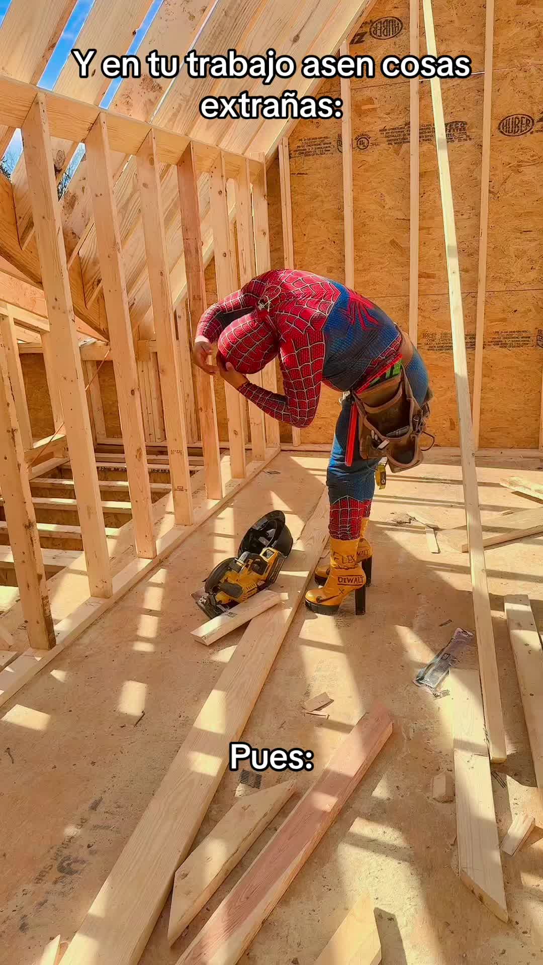 @spider503r