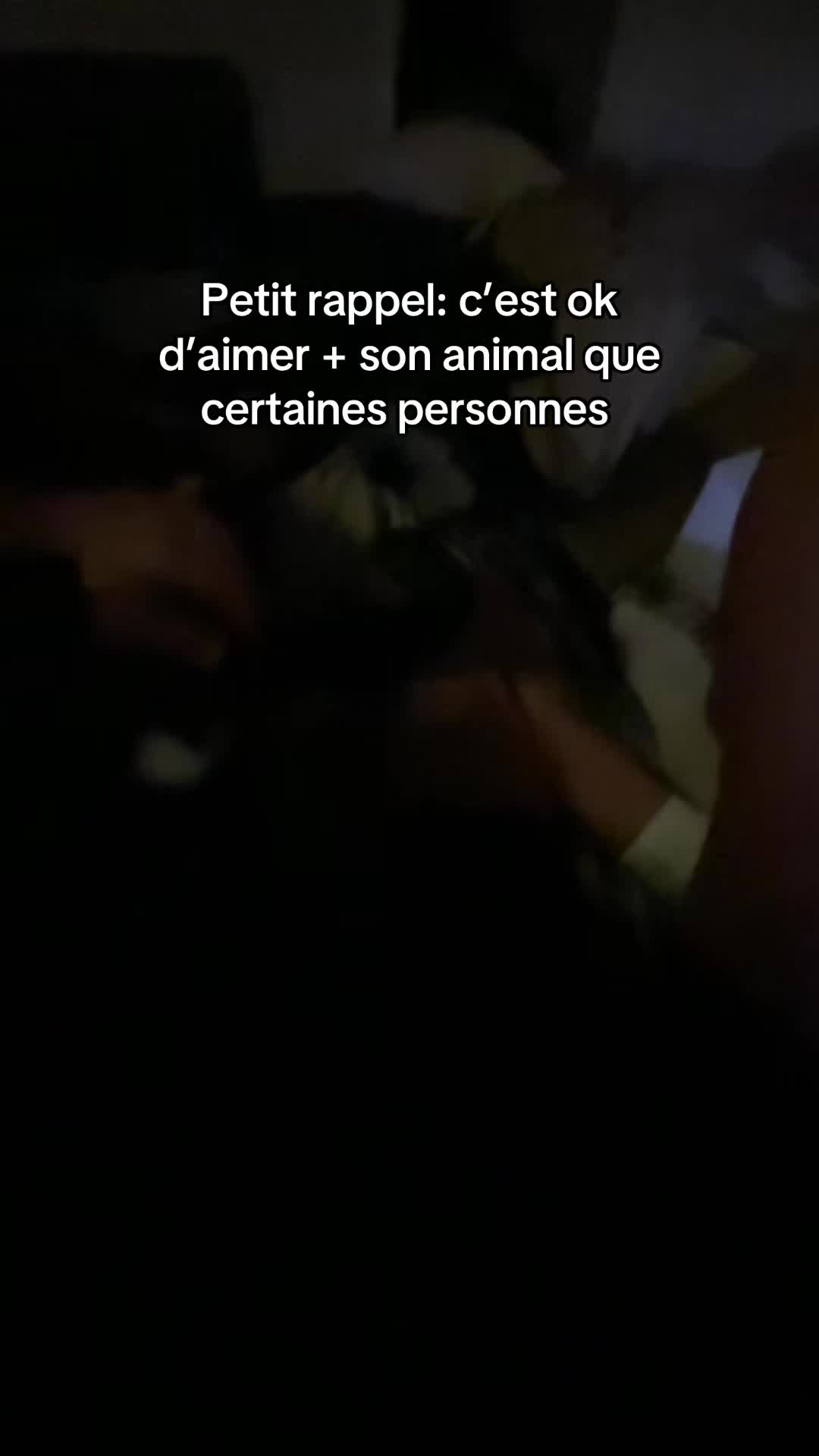 @loaelia