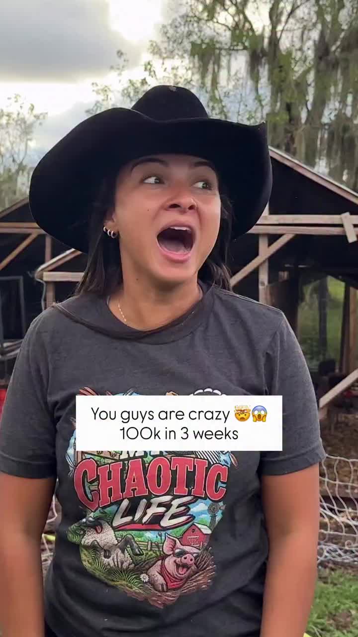 @Talita