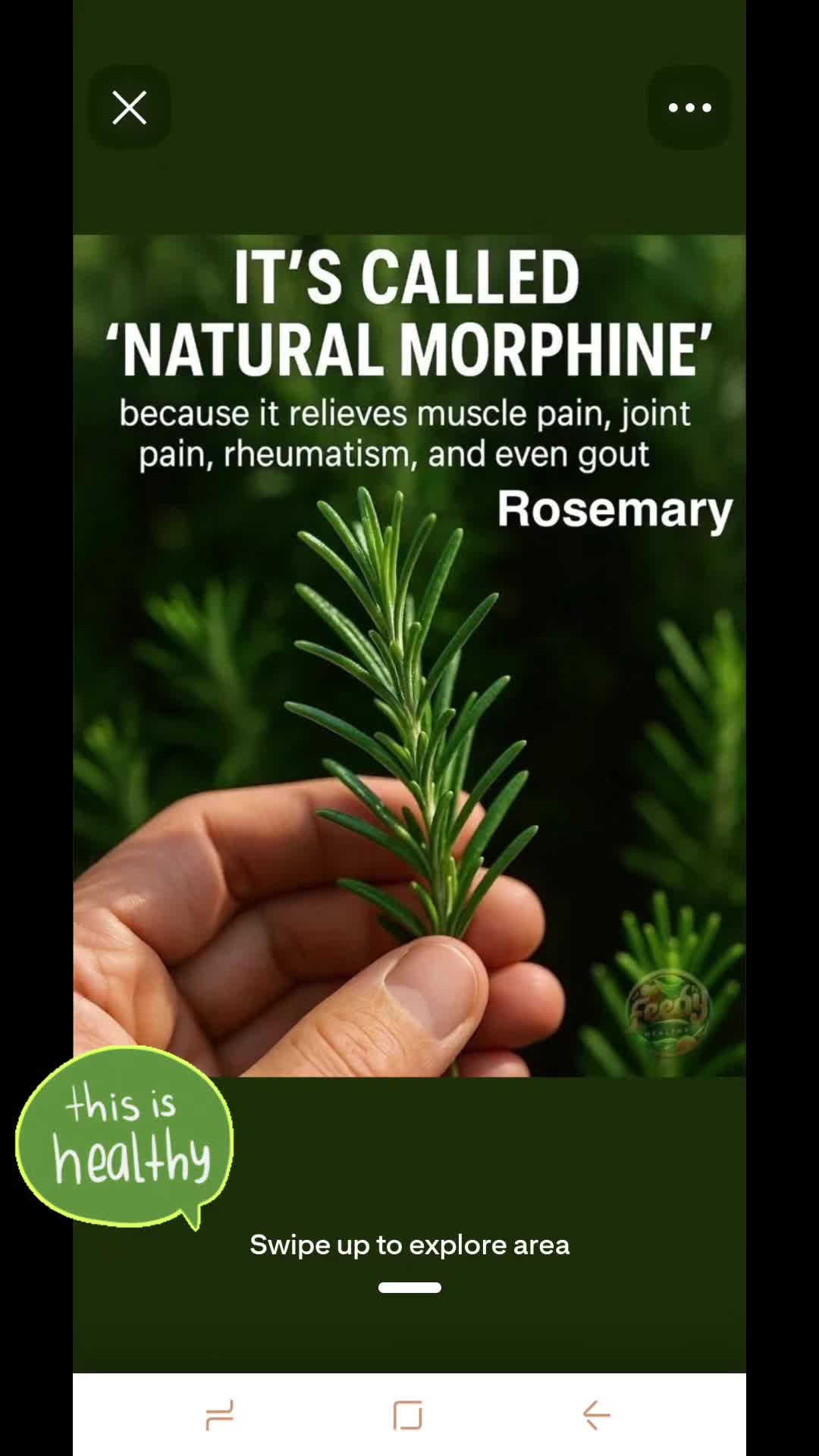 @Mary-Jane Skincare🌿Melissa