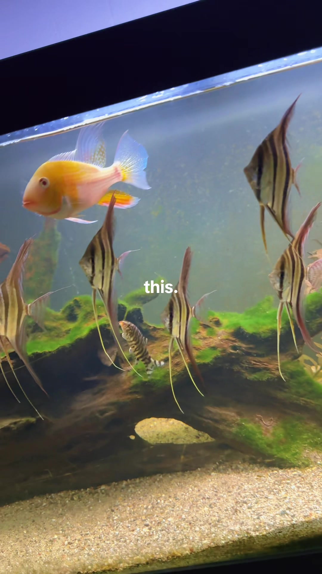 @Fishmon john
