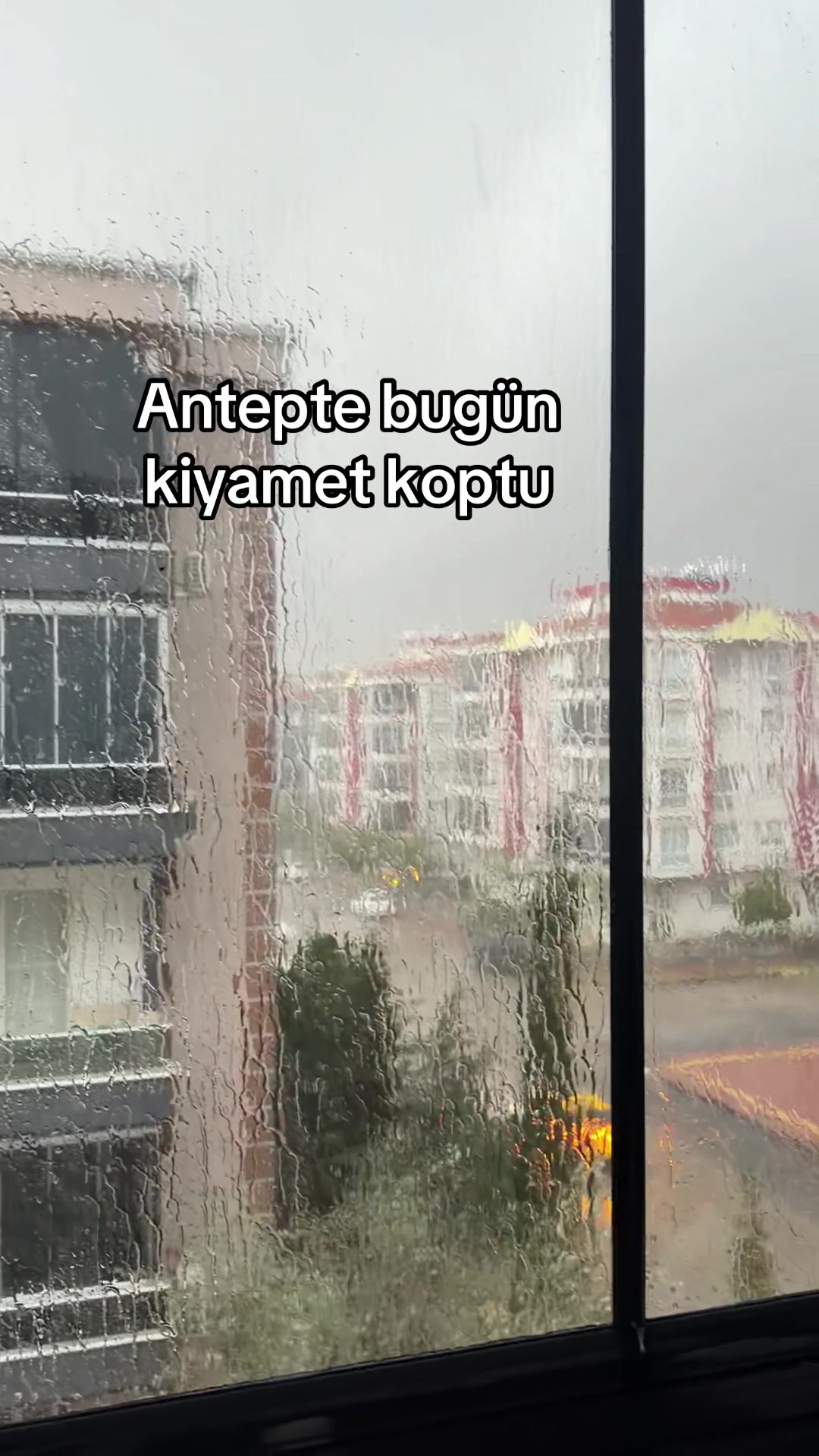 @arzu_homee