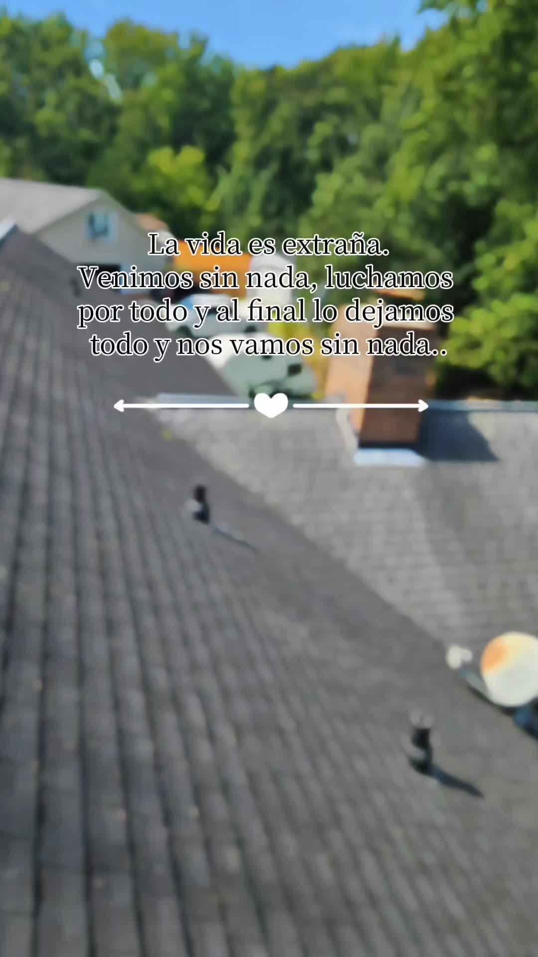 @Hugo roofing