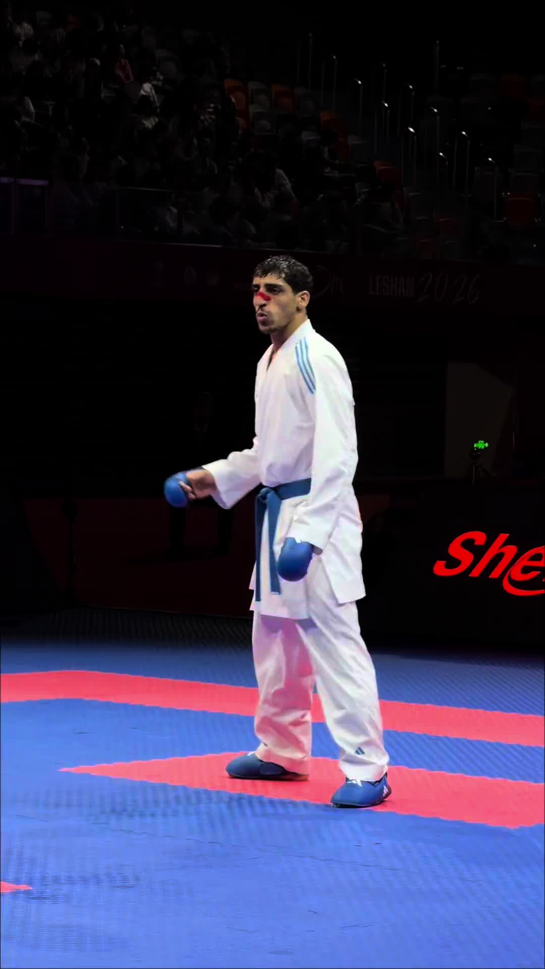 @World Karate Federation - WKF
